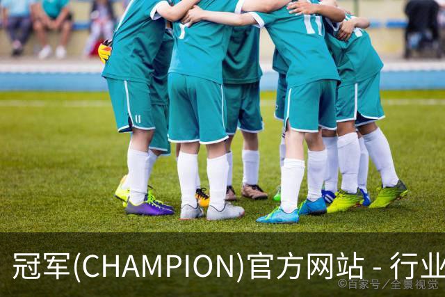 冠军(CHAMPION)官方网站 - 行业领先的体育数据平公司简介